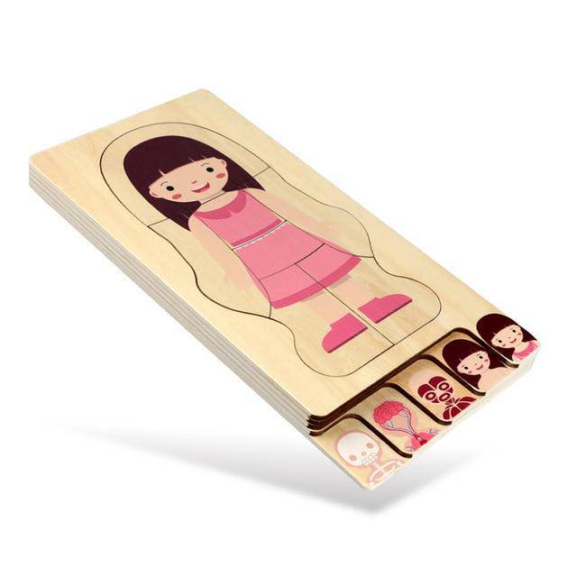 Wooden Human Body Structures Puzzles
