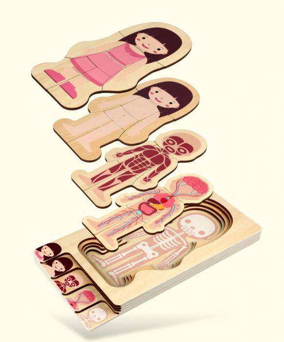 Wooden Human Body Structures Puzzles